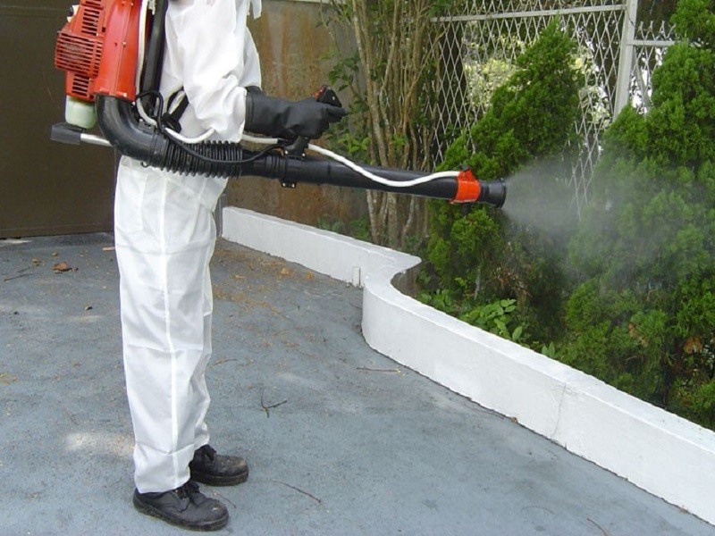 Уничтожение крыс