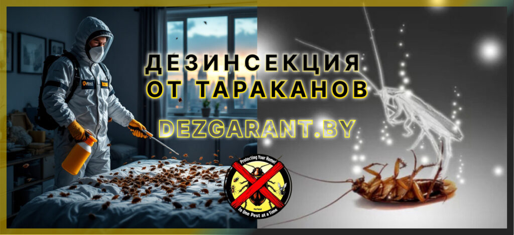 Дезинсекция от тараканов