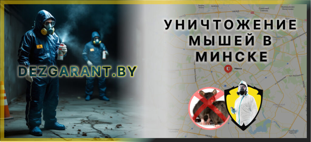 Уничтожение мышей в Минске