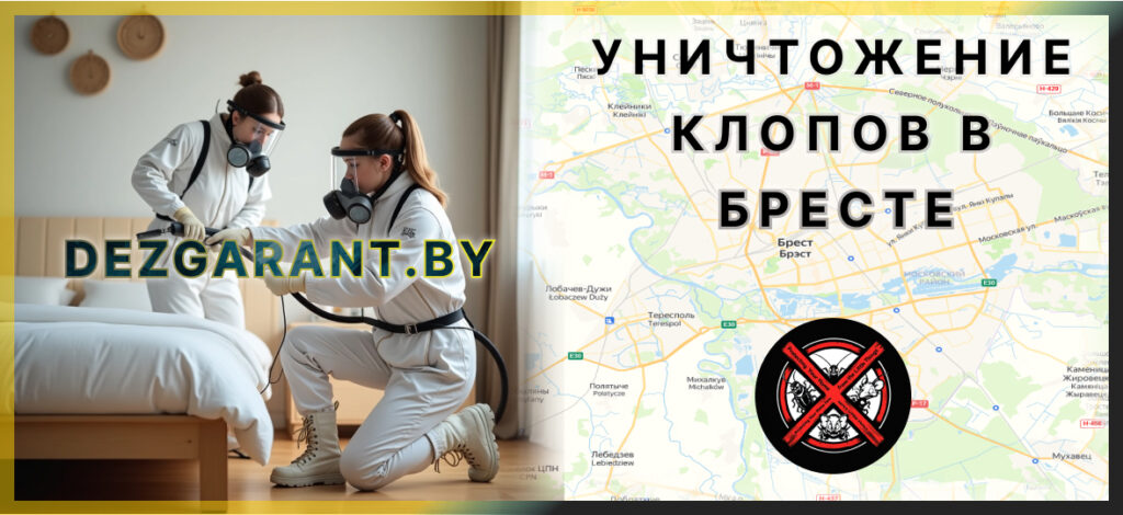 Уничтожение клопов в Бресте
