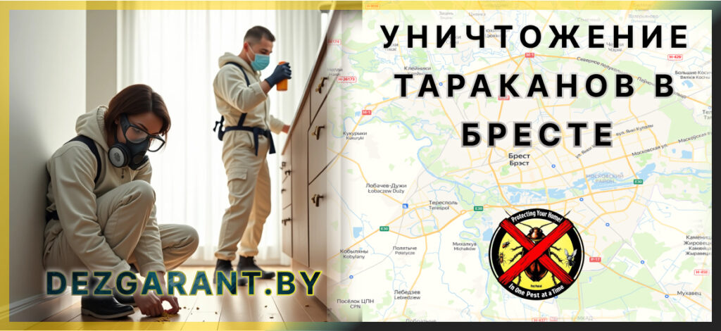 Уничтожение тараканов в Бресте
