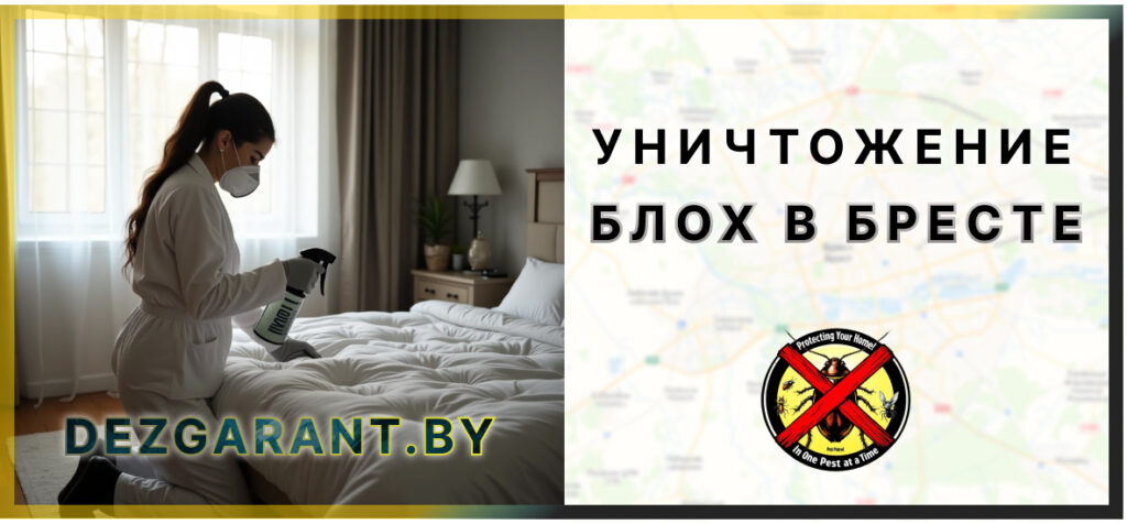 Уничтожение блох в Бресте