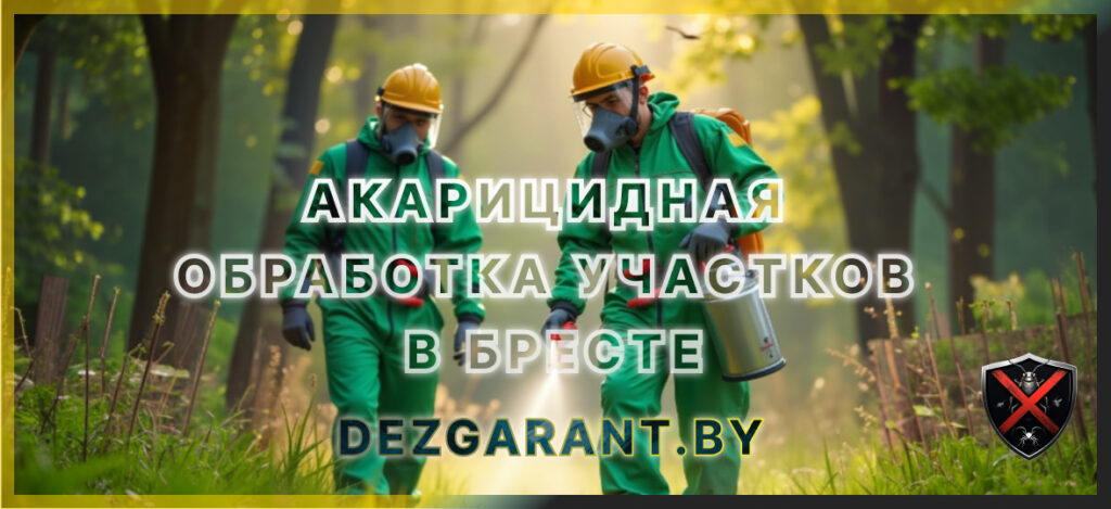 Акарицидная обработка участков в Бресте