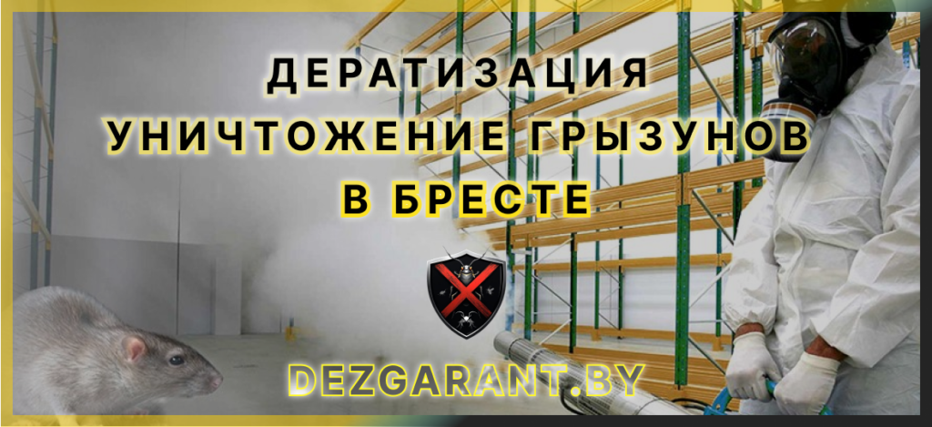 Дератизация (уничтожение грызунов Бресте)
