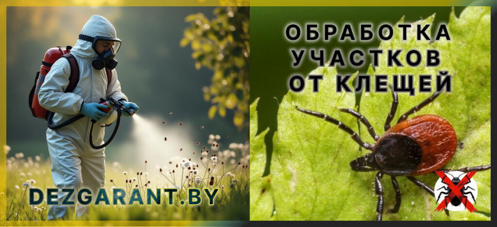 Обработка участков от клещей