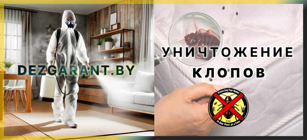Уничтожение клопов