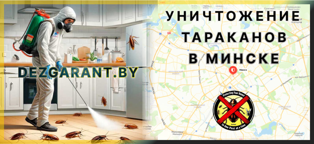 Уничтожение тараканов в Минске